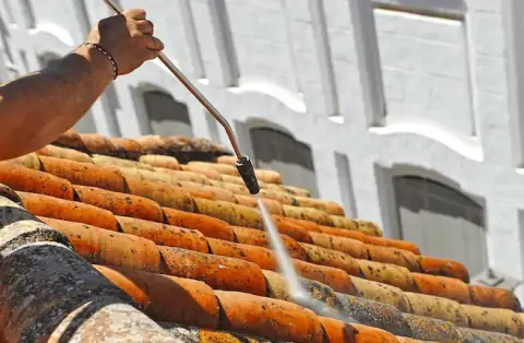 Nettoyage de toitures - Ifs